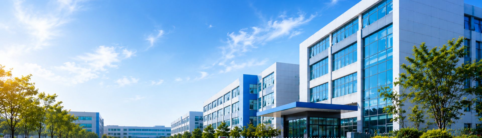 Company Profile